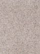 World Class I Residential Carpet Color: Virgo - Dreamweaver by Engineered Floors