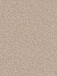 Cape Cod Residential Carpet Color: Oxford - Dreamweaver by Engineered Floors