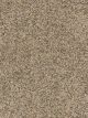 Confetti I Residential Carpet Color: Swing - Dreamweaver by Engineered Floors