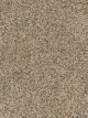 World Class I Residential Carpet Color: Swing - Dreamweaver by Engineered Floors