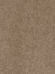 Cedar Creek Residential Carpet Color: Dove - Dreamweaver by Engineered Floors