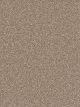Cape Cod Residential Carpet Color: Quail - Dreamweaver by Engineered Floors