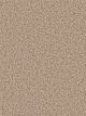 Can't Miss Residential Carpet Color: Ginger - Dreamweaver by Engineered Floors