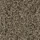 West Brow Residential Carpet Color: Magnetite - Dreamweaver by Engineered Floors