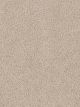 Exceptional II Residential Carpet Color: Eggshell - Dreamweaver by Engineered Floors