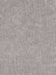Show Stopper II Residential Carpet Color: Iceberg - Dreamweaver by Engineered Floors