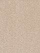 Montauk Residential Carpet Color: Blush - Dreamweaver by Engineered Floors