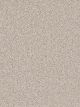 Montauk Residential Carpet Color: Parchment - Dreamweaver by Engineered Floors