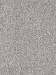 Parade Residential Carpet Color: Starry Sky - Dreamweaver by Engineered Floors