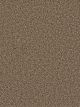 Can't Miss Residential Carpet Color: Peppercorn - Dreamweaver by Engineered Floors