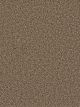 Dazzling Residential Carpet Color: Peppercorn - Dreamweaver by Engineered Floors