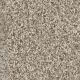 Knockout II Residential Carpet Color: Seashells - Dreamweaver by Engineered Floors
