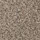 West Brow Residential Carpet Color: Gemstone - Dreamweaver by Engineered Floors