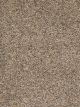 Confetti III Residential Carpet Color: Bisque - Dreamweaver by Engineered Floors