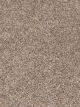 Epic II Residential Carpet Color: Nature Jewels - Dreamweaver by Engineered Floors