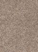 Parade Residential Carpet Color: Nature Jewels - Dreamweaver by Engineered Floors