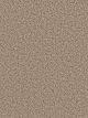 Can't Miss Residential Carpet Color: Mocha - Dreamweaver by Engineered Floors