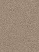 Dazzling Residential Carpet Color: Mocha - Dreamweaver by Engineered Floors