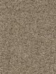 Confetti I Residential Carpet Color: Cadence - Dreamweaver by Engineered Floors