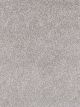 Show Stopper I Residential Carpet Color: Full Moon - Dreamweaver by Engineered Floors