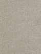 Hollywood Residential Carpet Color: Orion - Dreamweaver by Engineered Floors
