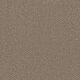 Broadcast Plus Residential Carpet Color: Almond - Dreamweaver by Engineered Floors