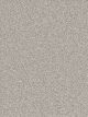 Montauk Residential Carpet Color: Dove - Dreamweaver by Engineered Floors