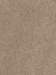 Exceptional II Residential Carpet Color: Silver Birch - Dreamweaver by Engineered Floors