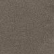 Toast of the Town Residential Carpet Color: Rugged Suede - Dreamweaver by Engineered Floors