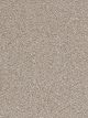 Dazzling Residential Carpet Color: Iron Frost - Dreamweaver by Engineered Floors