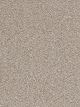 Dazzling Residential Carpet Color: Iron Frost - Dreamweaver by Engineered Floors