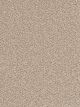 Cape Cod Residential Carpet Color: Linen - Dreamweaver by Engineered Floors