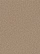 Can't Miss Residential Carpet Color: Wicker - Dreamweaver by Engineered Floors
