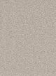 Montauk Residential Carpet Color: Silver Lining - Dreamweaver by Engineered Floors