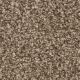 West Brow Residential Carpet Color: Bramble - Dreamweaver by Engineered Floors