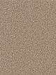 Can't Miss Residential Carpet Color: Acorn - Dreamweaver by Engineered Floors