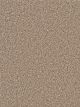 Can't Miss Residential Carpet Color: Acorn - Dreamweaver by Engineered Floors
