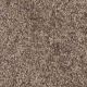 World Class I Residential Carpet Color: Leather - Dreamweaver by Engineered Floors