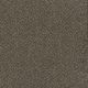 Toast of the Town Residential Carpet Color: Wrought Iron - Dreamweaver by Engineered Floors