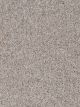Epic II Residential Carpet Color: Pacific Breeze - Dreamweaver by Engineered Floors