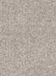 World Class II Residential Carpet Color: Sandy Cove - Dreamweaver by Engineered Floors