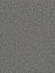 Montauk Residential Carpet Color: Pewter - Dreamweaver by Engineered Floors