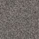 Knockout I Residential Carpet Color: Ash Grove - Dreamweaver by Engineered Floors