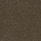 Toast of the Town Residential Carpet Color: Black & Tan - Dreamweaver by Engineered Floors