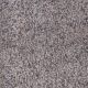 World Class I Residential Carpet Color: Moon Beam - Dreamweaver by Engineered Floors