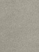 Montauk Residential Carpet Color: Icicle - Dreamweaver by Engineered Floors