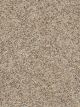Confetti I Residential Carpet Color: Harmony - Dreamweaver by Engineered Floors