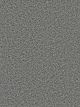 Dazzling Residential Carpet Color: Galactic - Dreamweaver by Engineered Floors