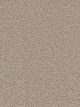Cape Cod Residential Carpet Color: Ash - Dreamweaver by Engineered Floors