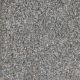 Knockout I Residential Carpet Color: Misty Morning - Dreamweaver by Engineered Floors